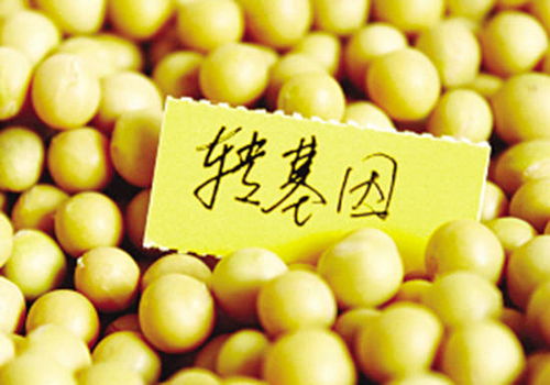 真相了！一文搞懂轉基因食品與日用品的檢測方法