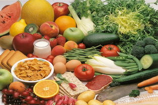 營養師之路 韓國中部大學食品營養學留學申請與就業前景分析