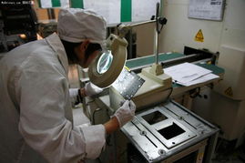 本土品牌揚帆出海，七彩虹成立德國分公司布局歐洲市場