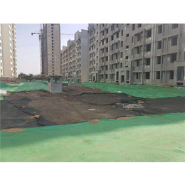 唐能種植屋面虹吸排水收集系統 為城市建筑注入綠色動力